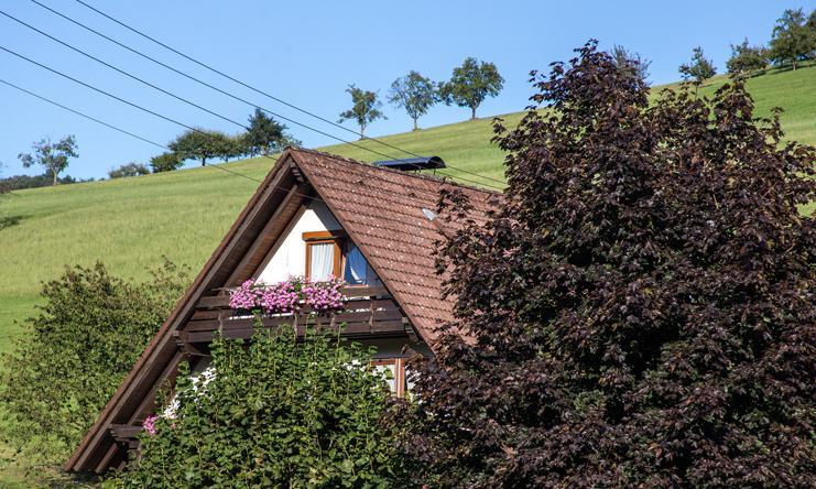 Appartement Kornbauernhof à Oberharmersbach Extérieur photo